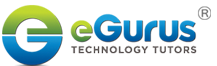 eGurus logo